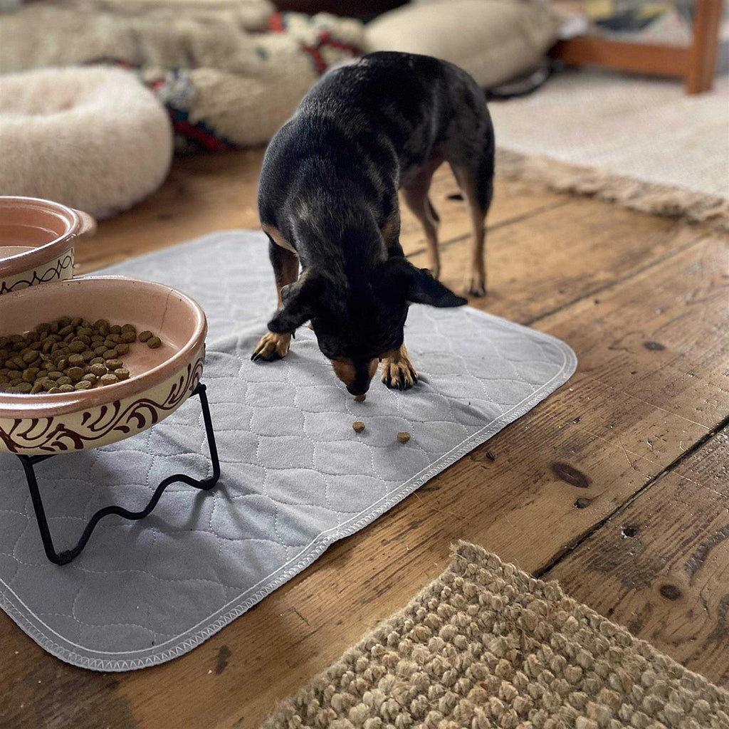 Washable Reusable Pee Pads for Dogs H436871