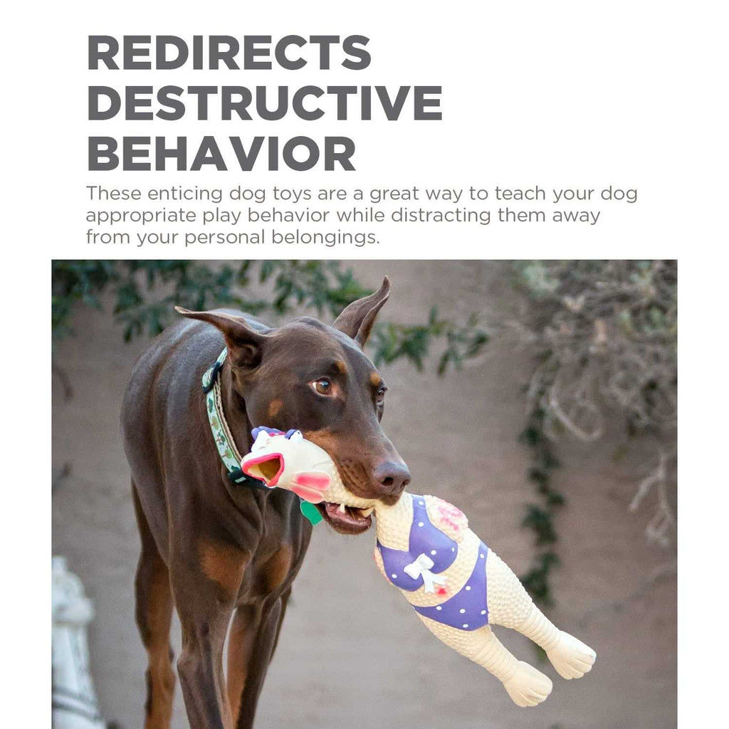 Dog Toy G573970