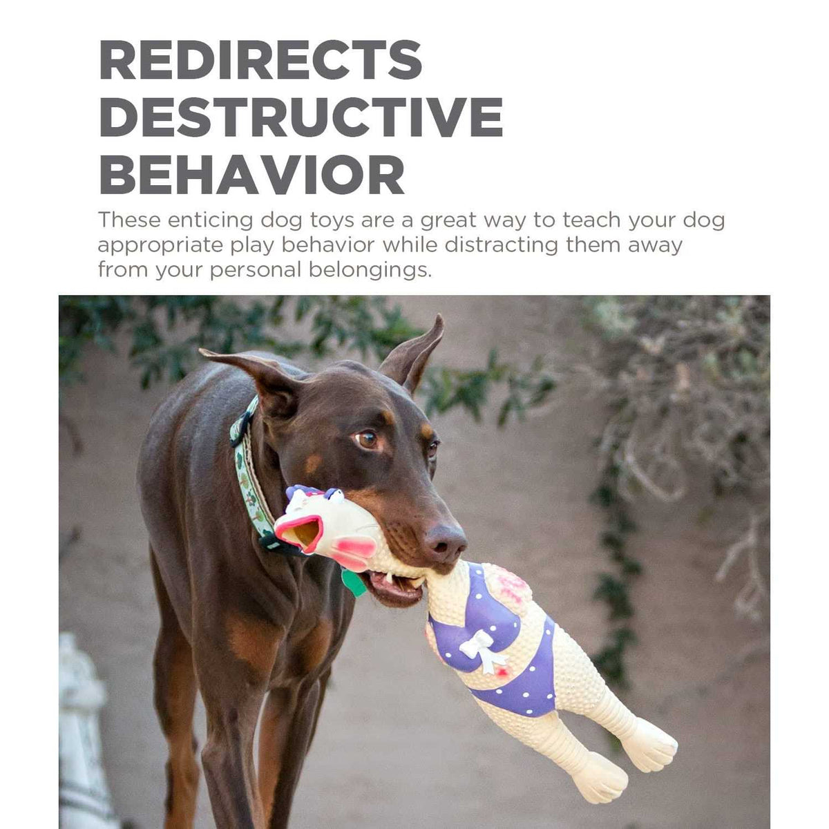 Dog Toy G573970