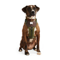 Dog Harness E8326