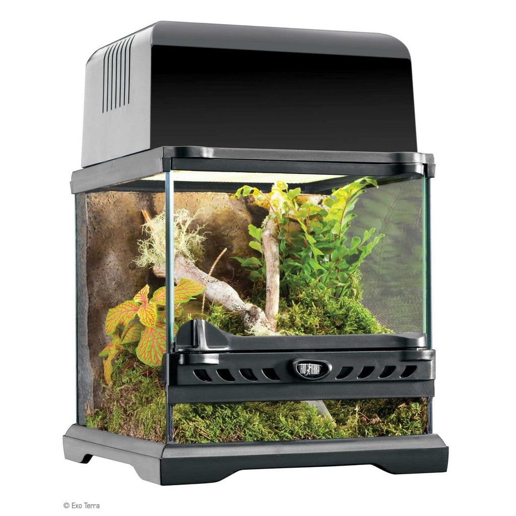 Glass Terrarium S931