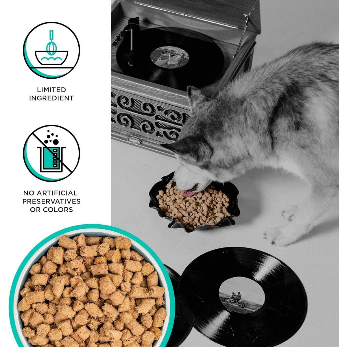 Freeze Dried Duck Recipe Dog Food I800954