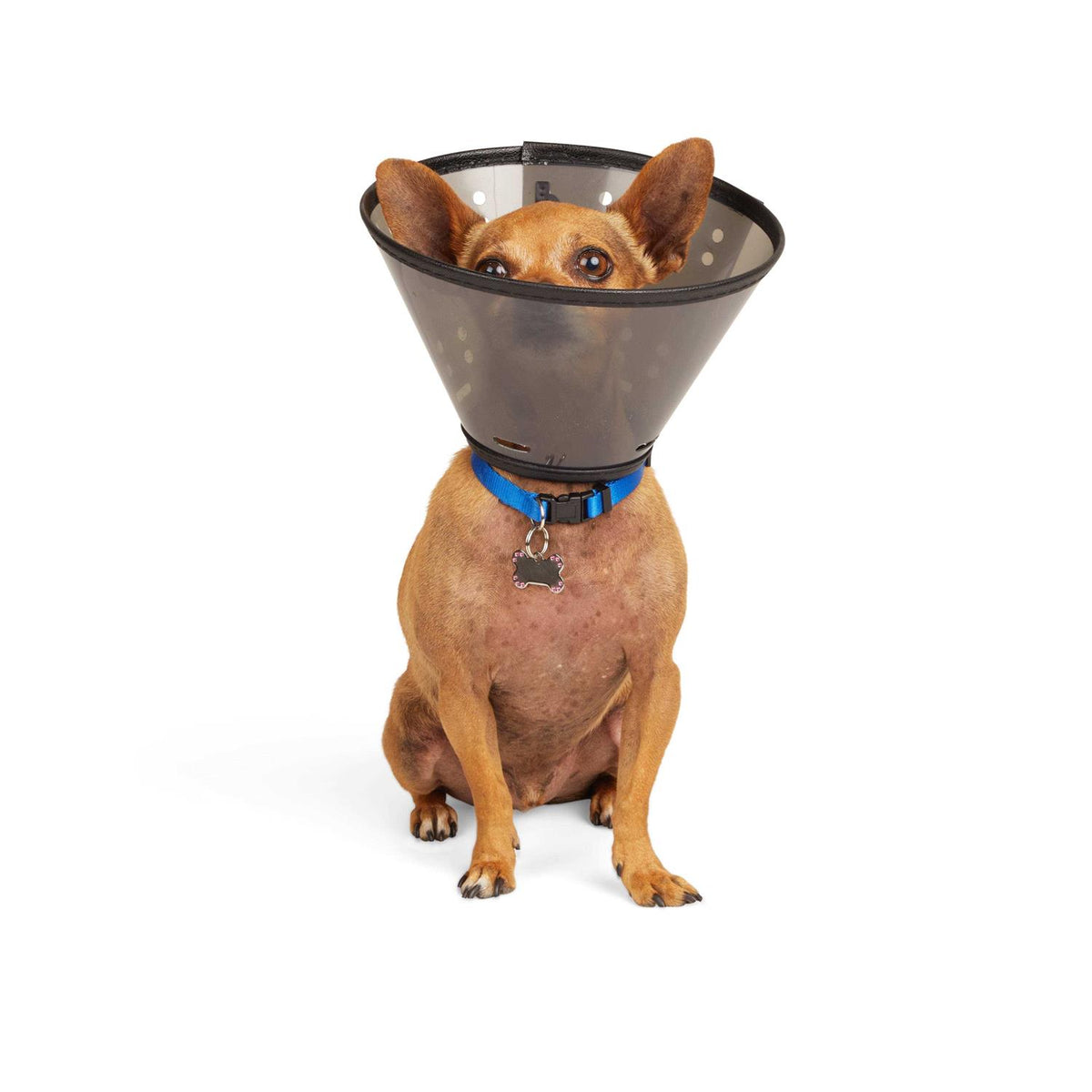 Recovery Cone Collar B6259