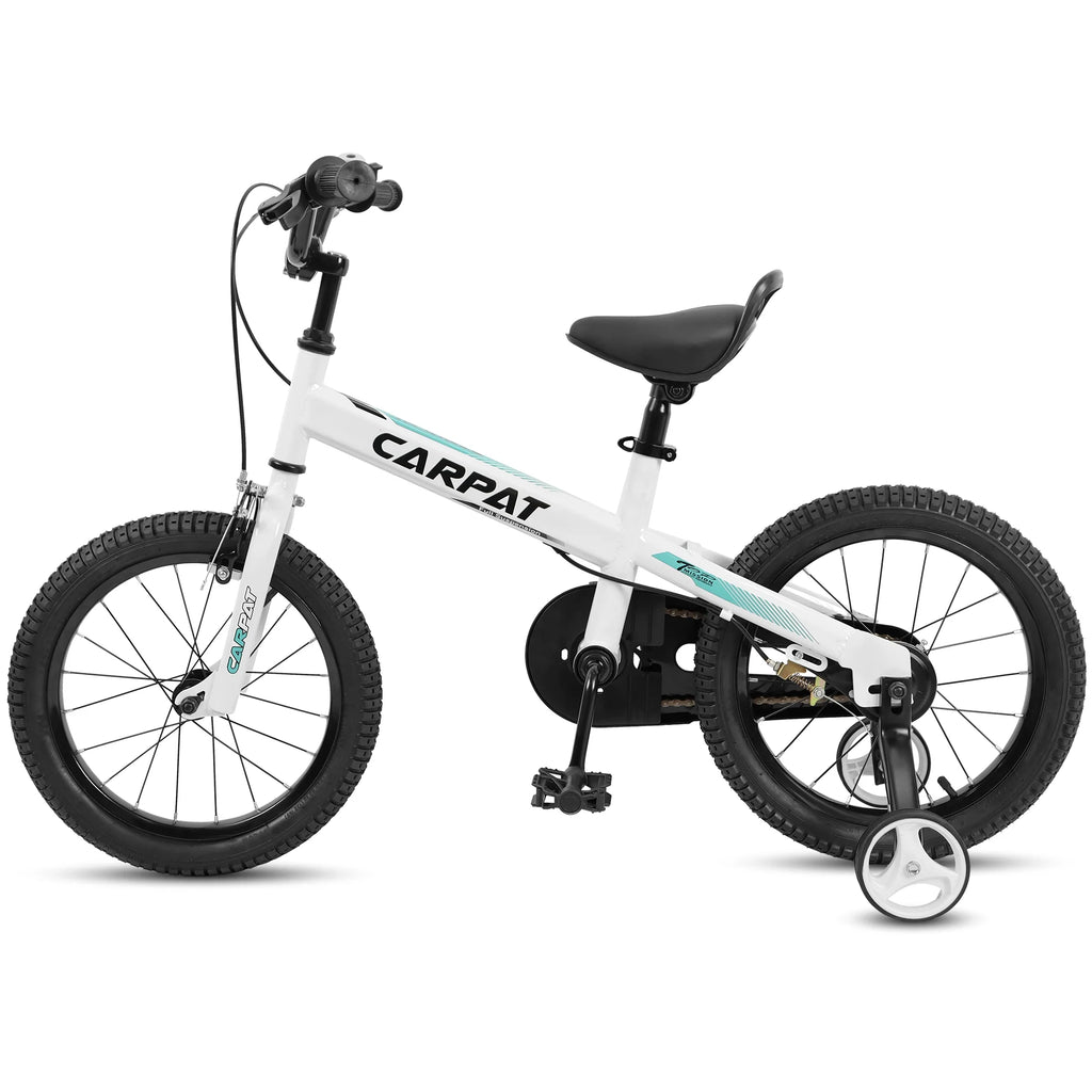 14 Inch Boys Bike with Training Wheels B43014