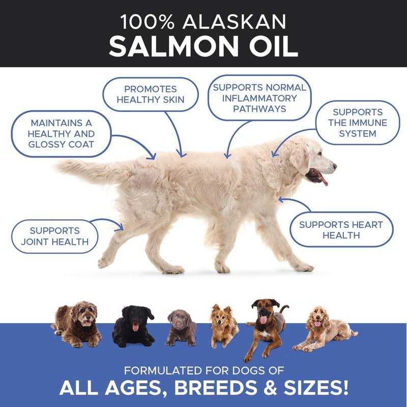 Salmon Oil for Dogs & Cats J3682
