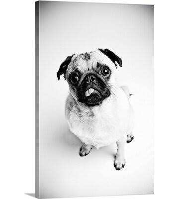 Photographic Print Canvas W215
