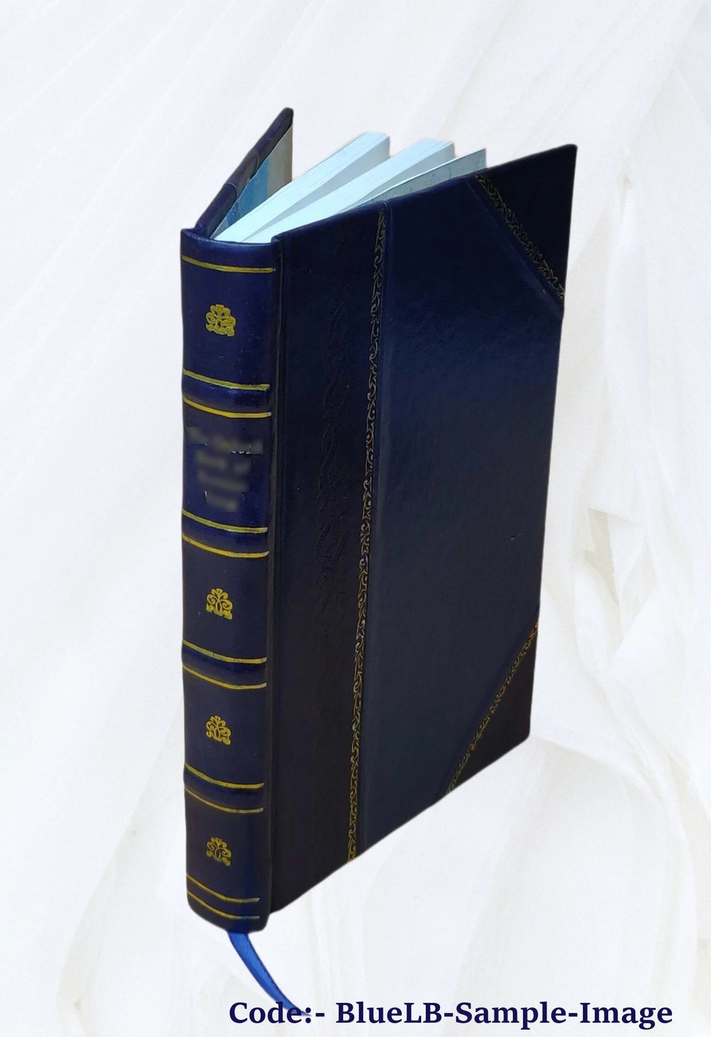 Court of Appeals of Virginia Volume 1 Leather Bound Y3359
