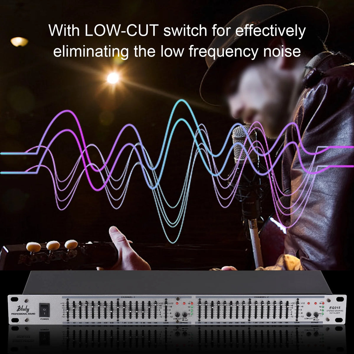 Dual Channel 15-Band Graphic Equalizer P43975