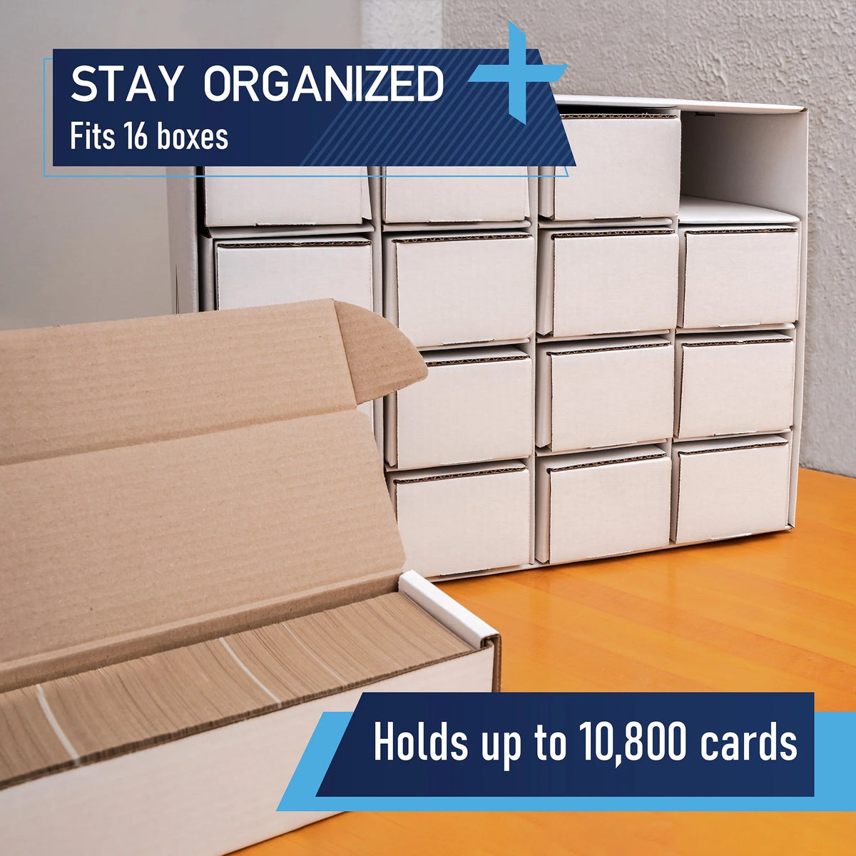 16 Trading Card Storage Boxes L113253