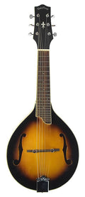 Octave Mandolin F5643