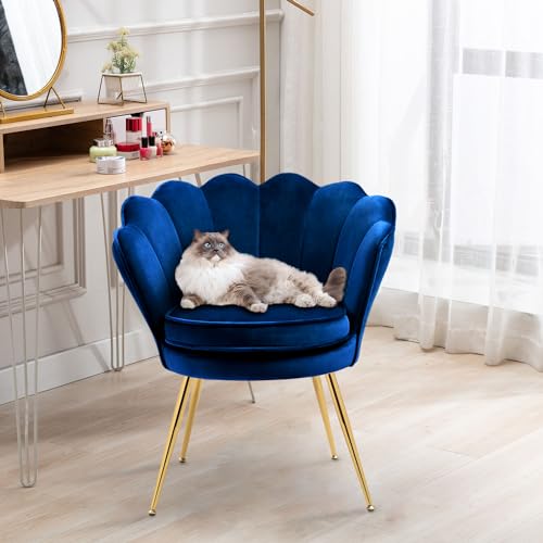 Grey Velvet Set of 2 Armchair Q201208