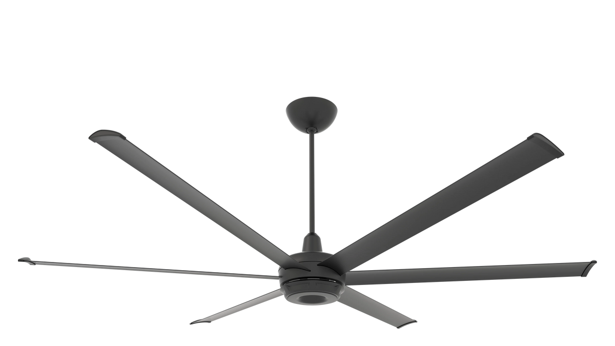 Black Ceiling Fan Z733