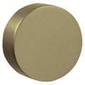 Satin Brass and Black Pair of Knobs H69441