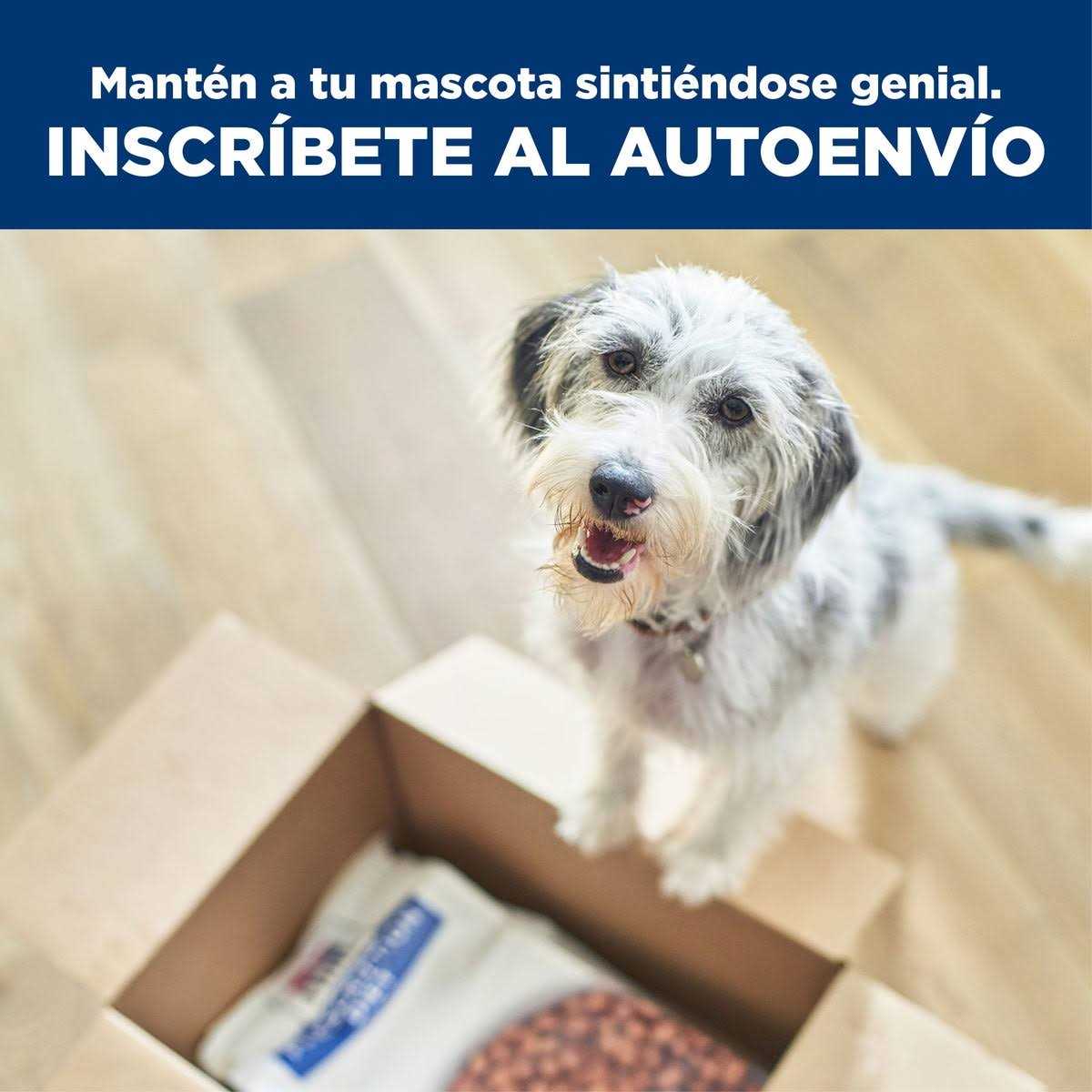 Chicken Dry Dog Food B7450