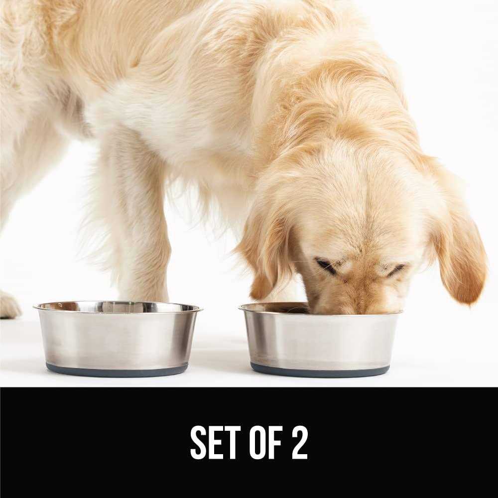 Stainless Steel Dog Bowl Set of 2 B209