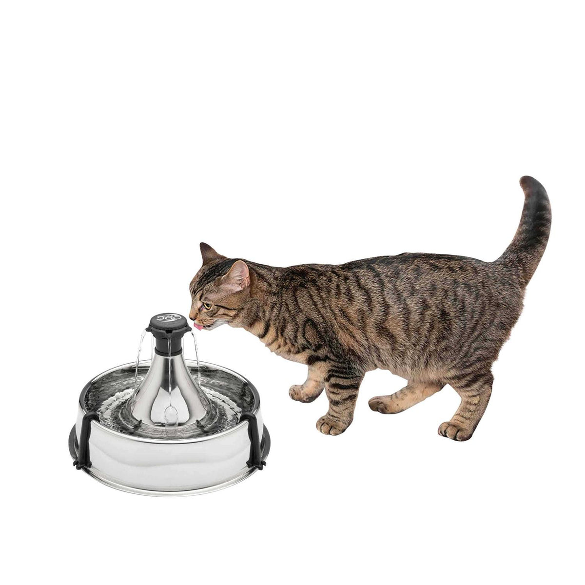 Stainless Steel Pet Fountain F523795