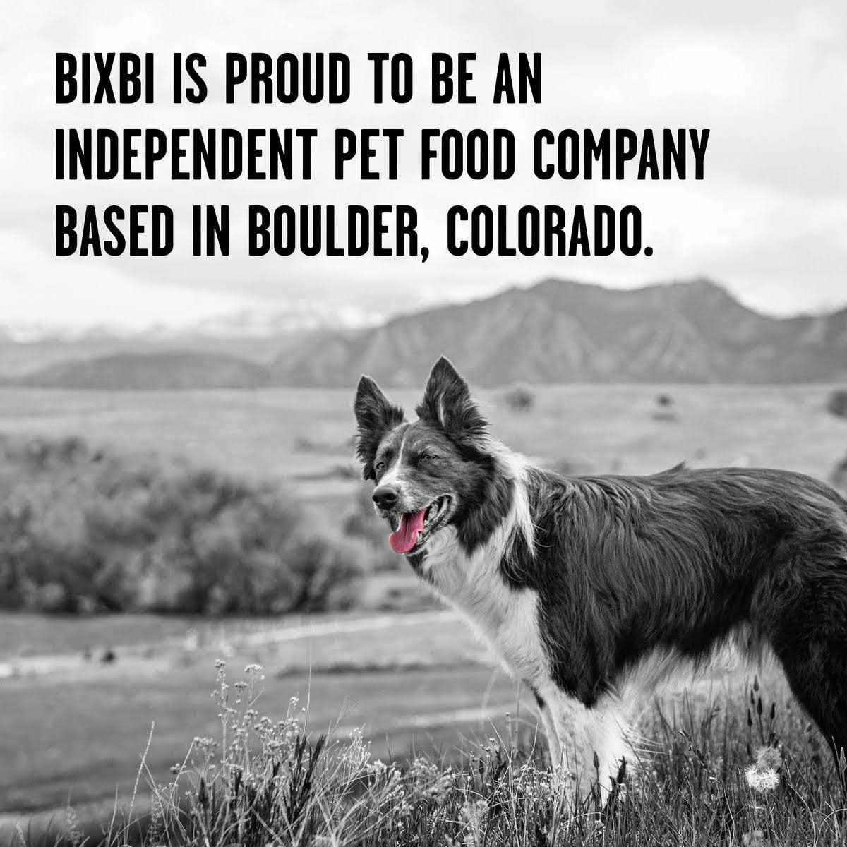 Freeze Dried Duck Recipe Dog Food I800954