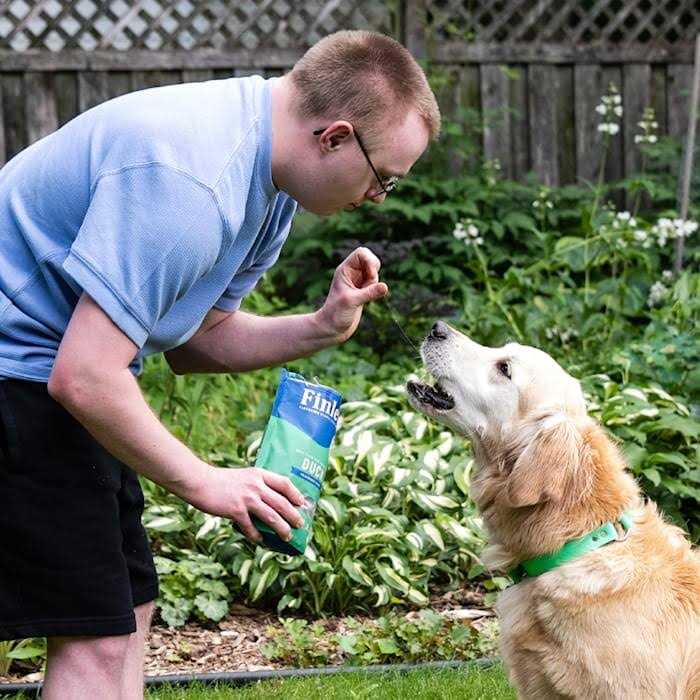 Soft Chew Dog Treats Training Bites C7138