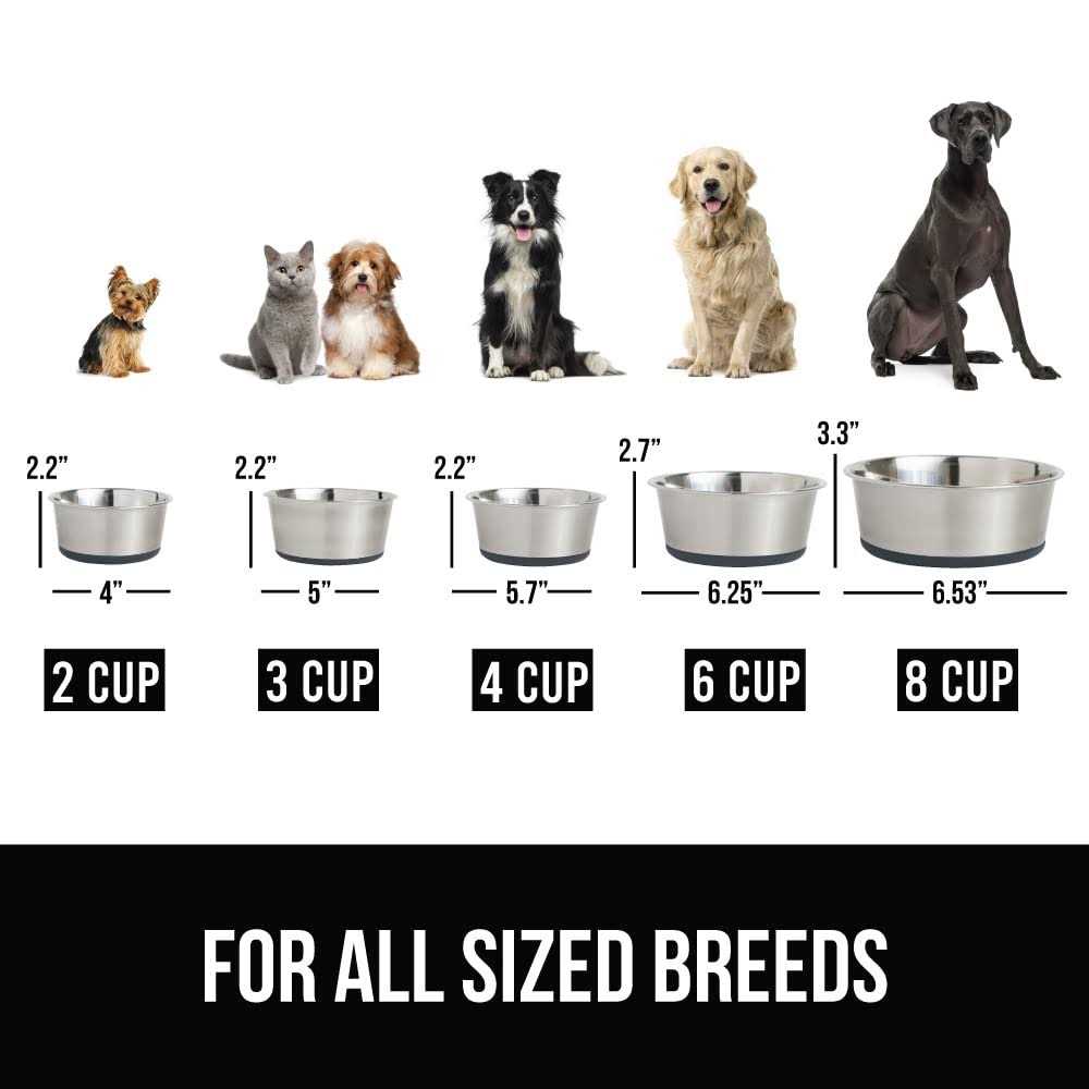 Stainless Steel Dog Bowl Set of 2 B209