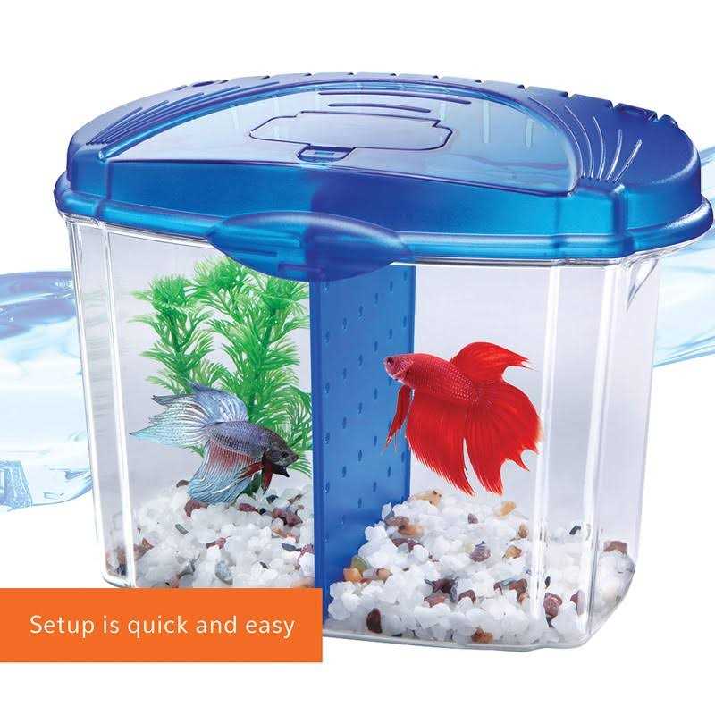 Betta Bowl Kit A12812