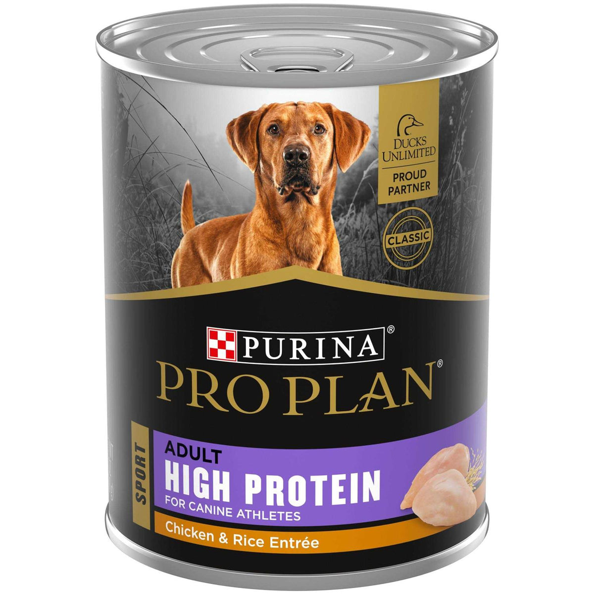 High Protein Wet Dog Food C953