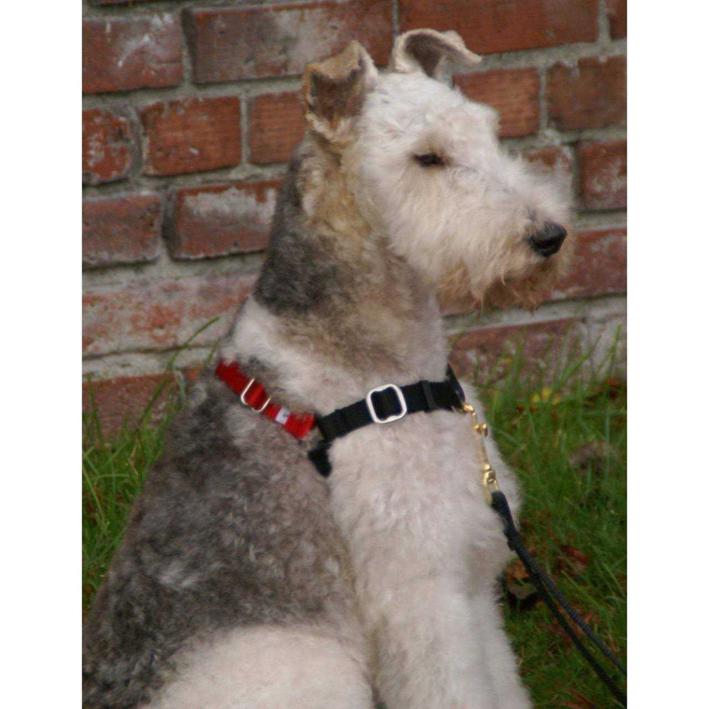 Dog Harness C426