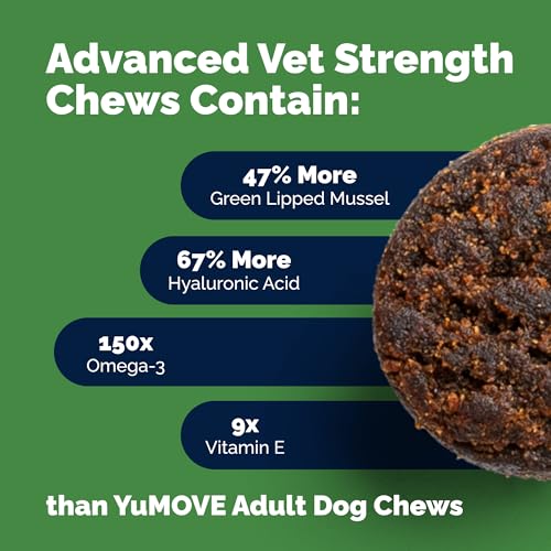 Glucosamine Hip & Joint Supplement for Dogs E859669