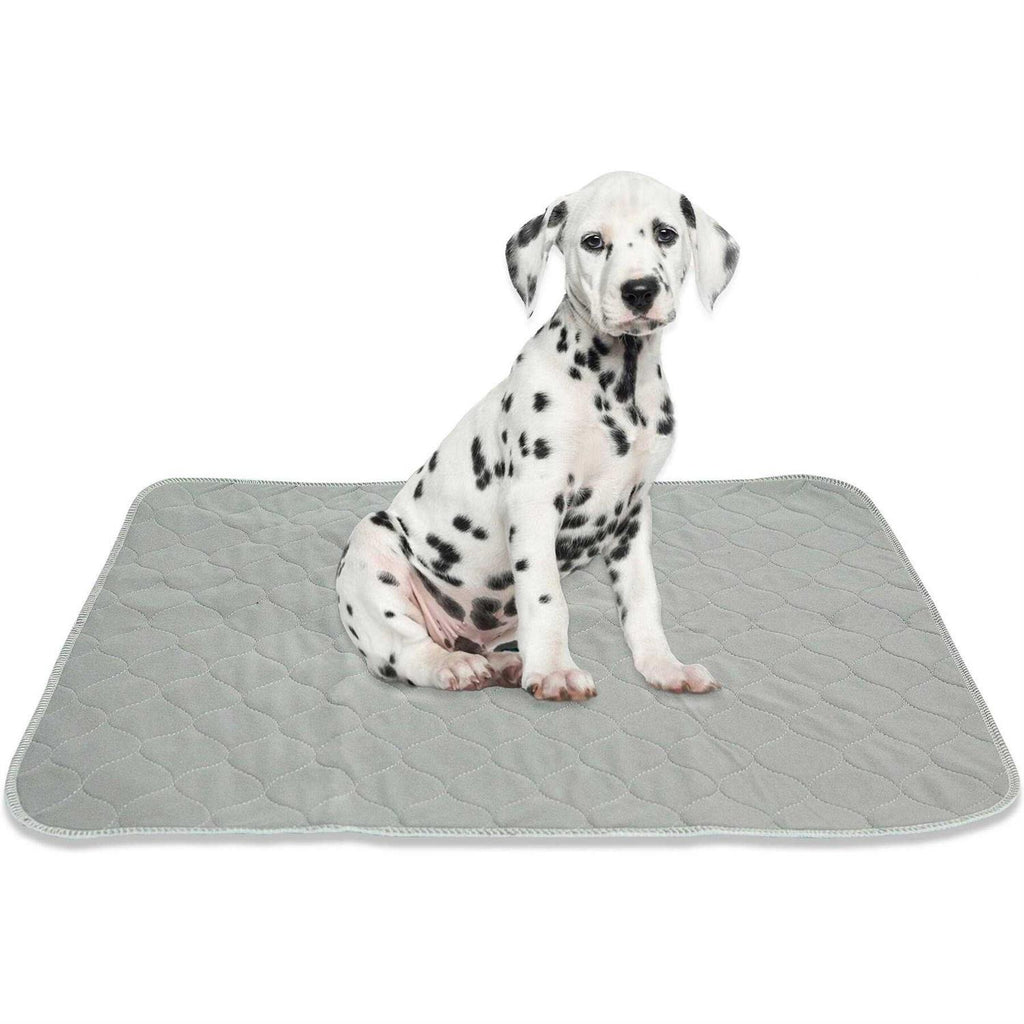 Washable Reusable Pee Pads for Dogs H436871