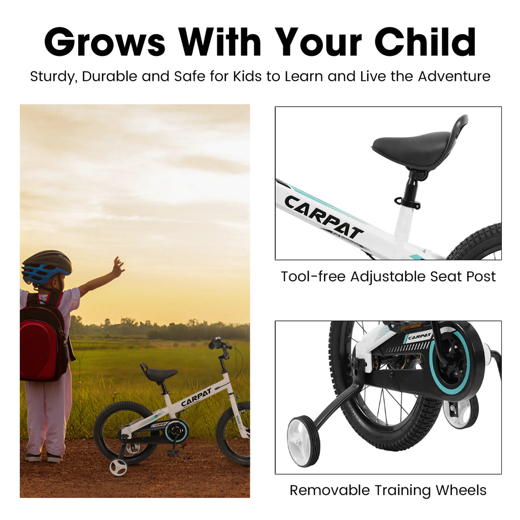 14 Inch Boys Bike with Training Wheels B43014