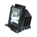 TV Replacement Lamp with Housing A118092
