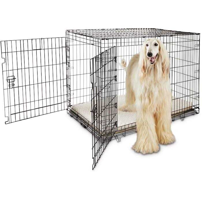 2-Door Folding Dog Crate M905425