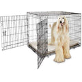 2-Door Folding Dog Crate M905425