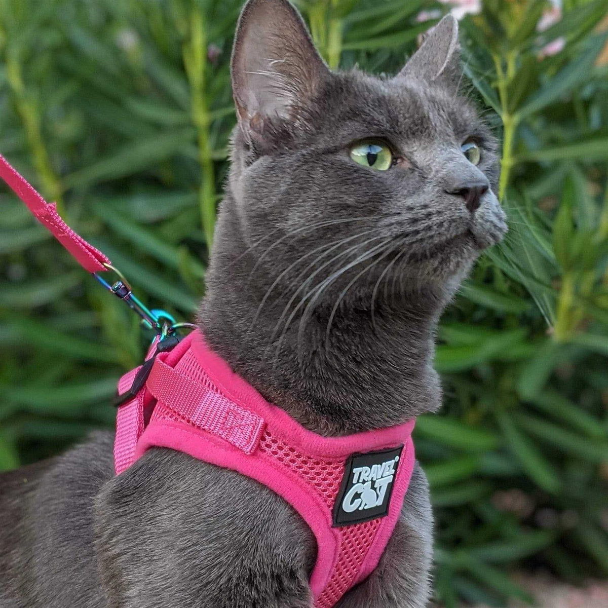 Reflective Cat & Kitten Harness and Leash S7208