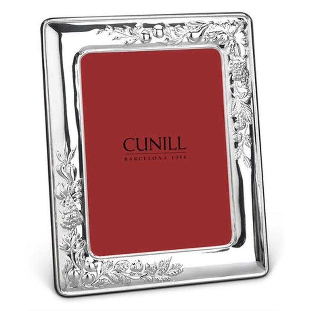 Sterling Silver Frame W8981
