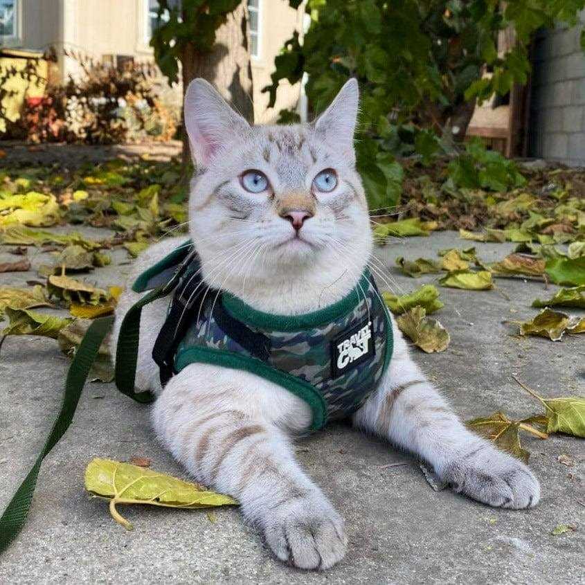 Reflective Cat & Kitten Harness and Leash S7208