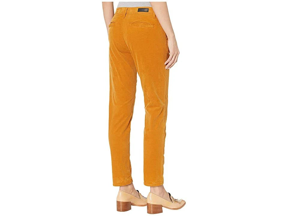 Richie Gold Jeans C741748