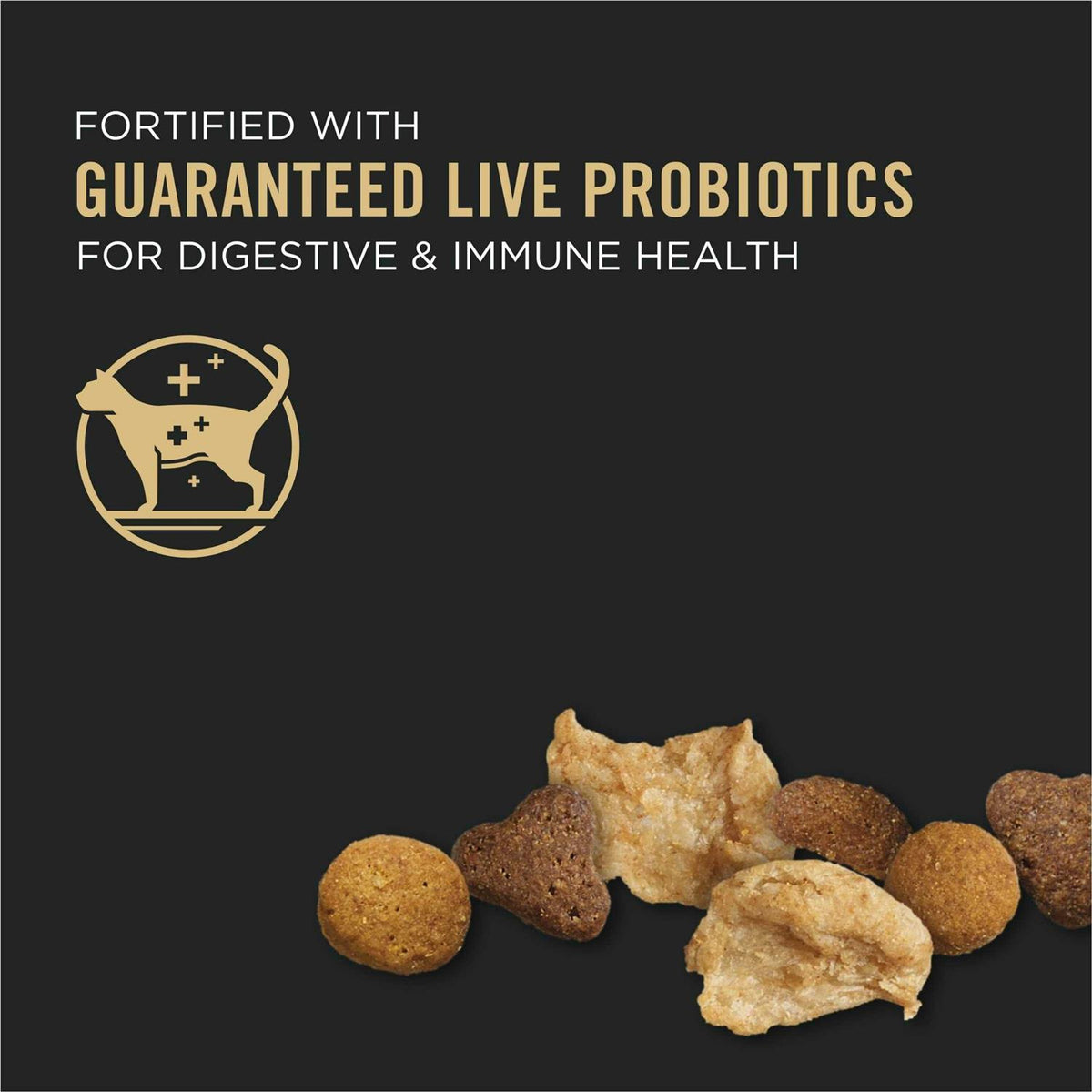 Dry Kitten Food C321