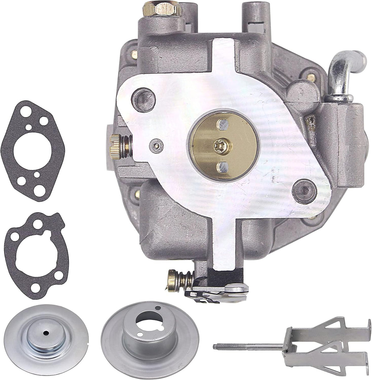 Carburetor with Gaskets Pack of 2 for Vanguard Engines Y293557