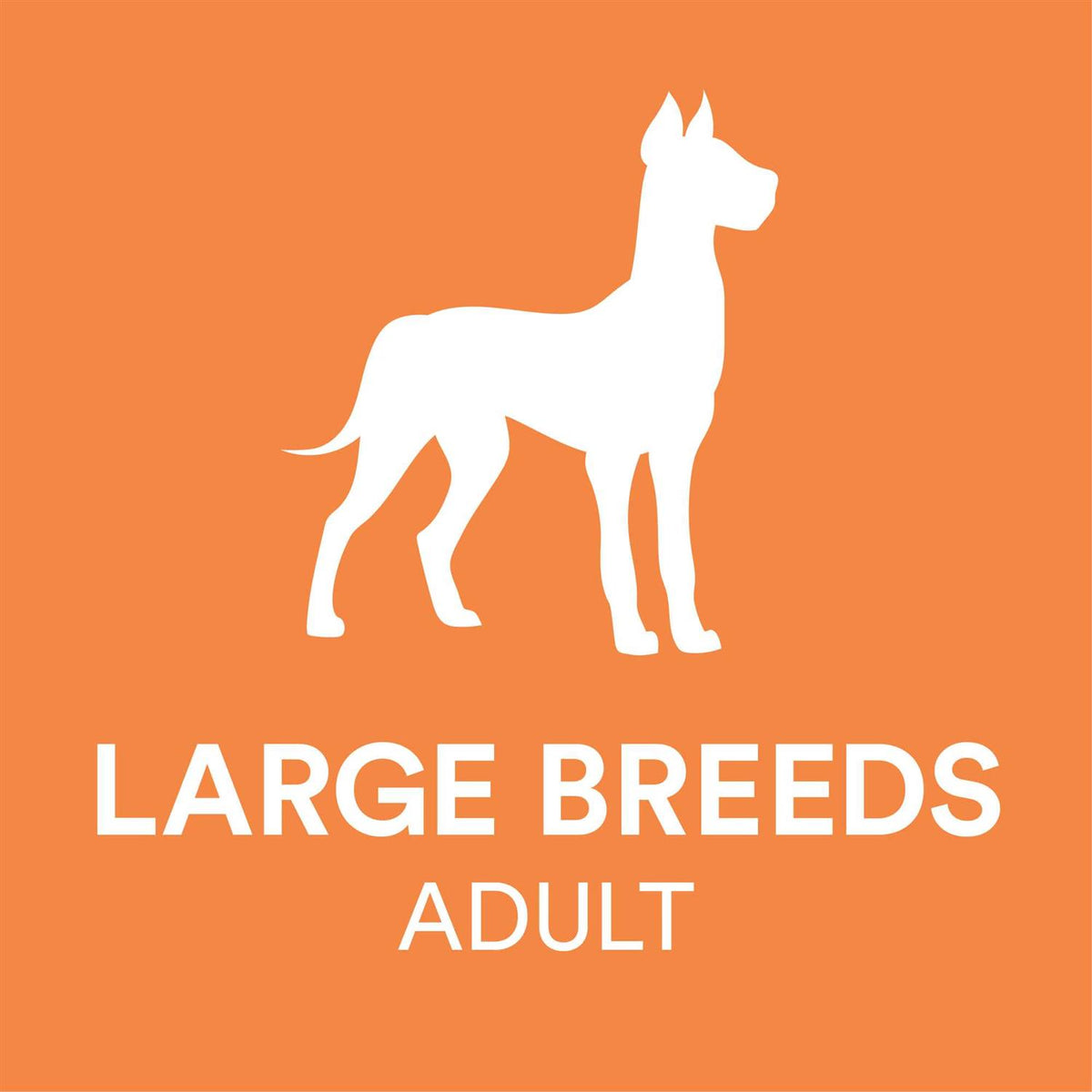 Chicken & Brown Rice Recipe Dry Dog Food R57925