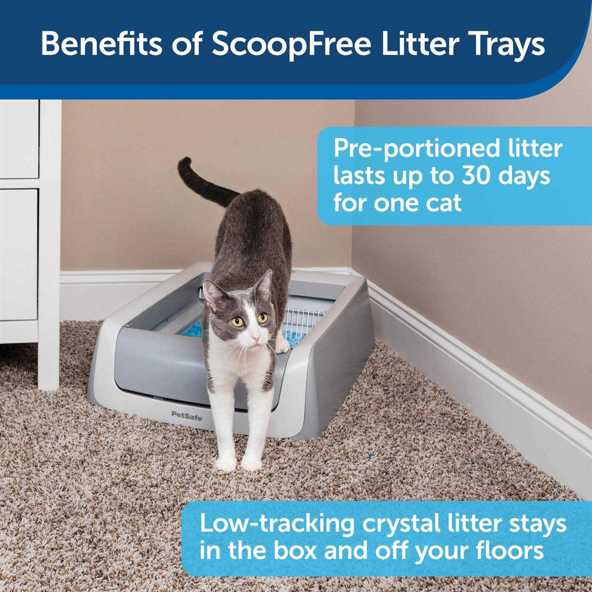 Litter Tray C414967