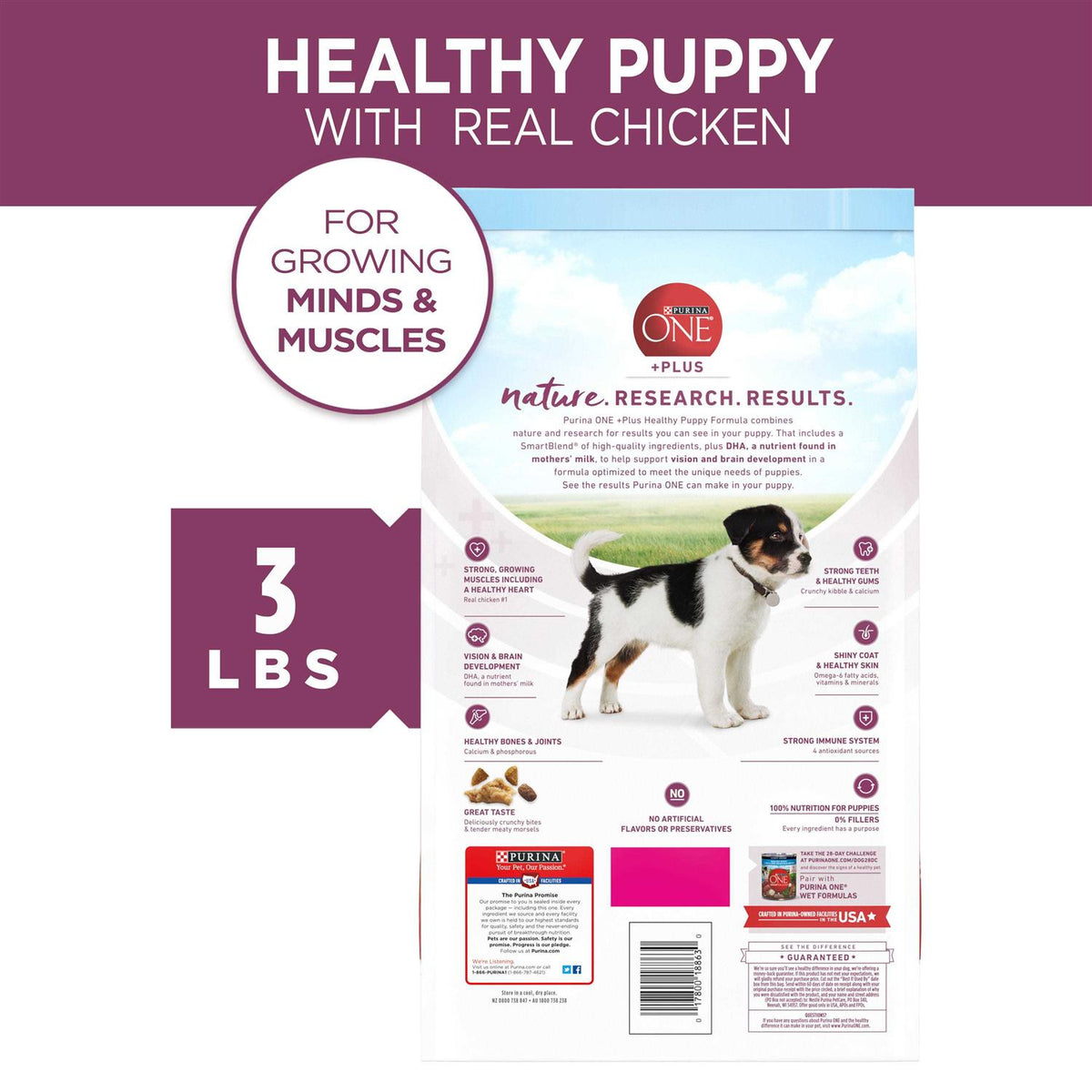 High Protein Dry Dog Food C8792