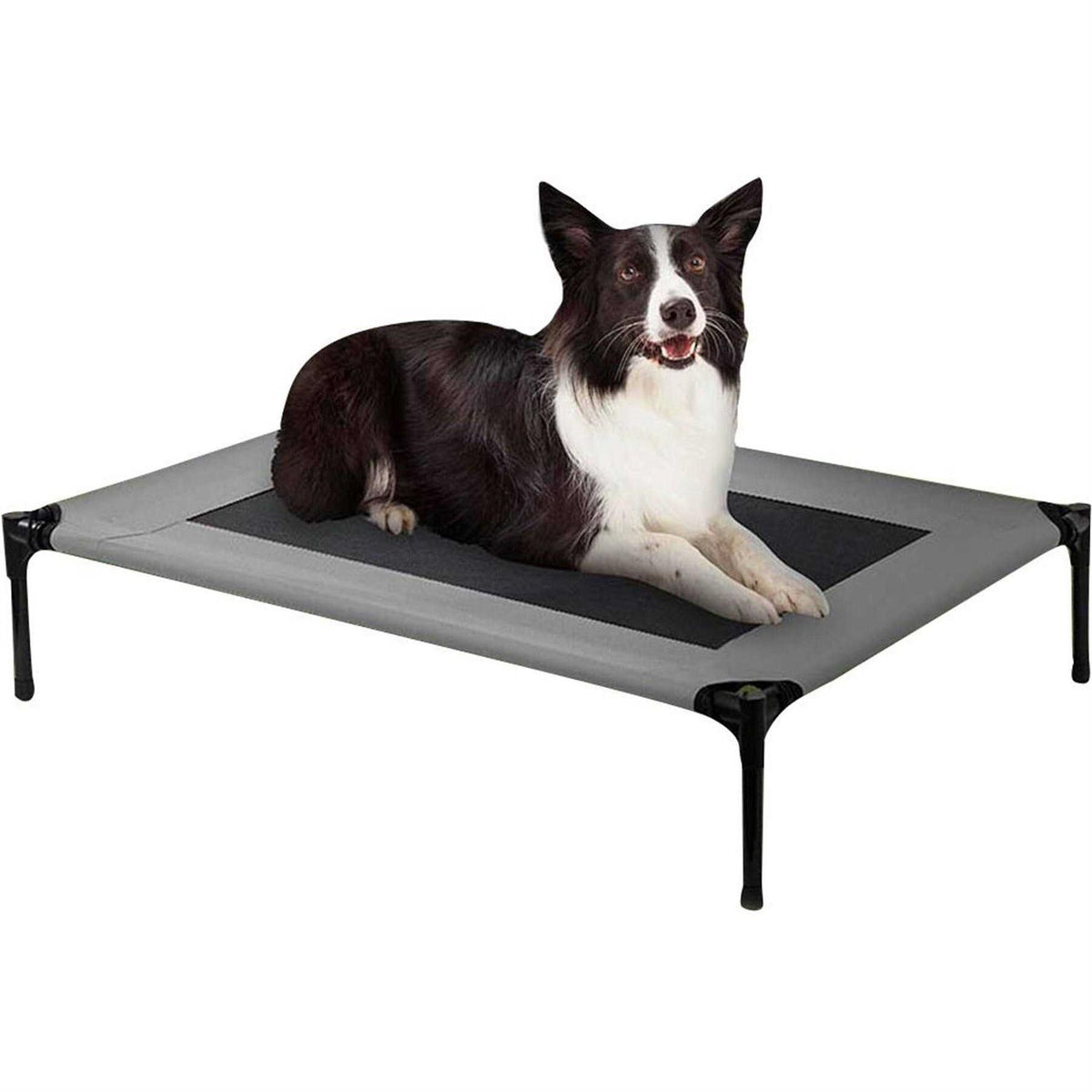 Cot Dog Bed J2302