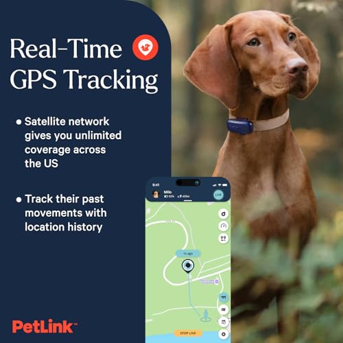 Waterproof Dog GPS Tracker with Virtual Fence Q96636