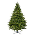5.5 ft Douglas Fir Dura-Lit M131134