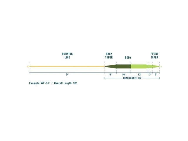 WF5F Camo Fly Line O4738