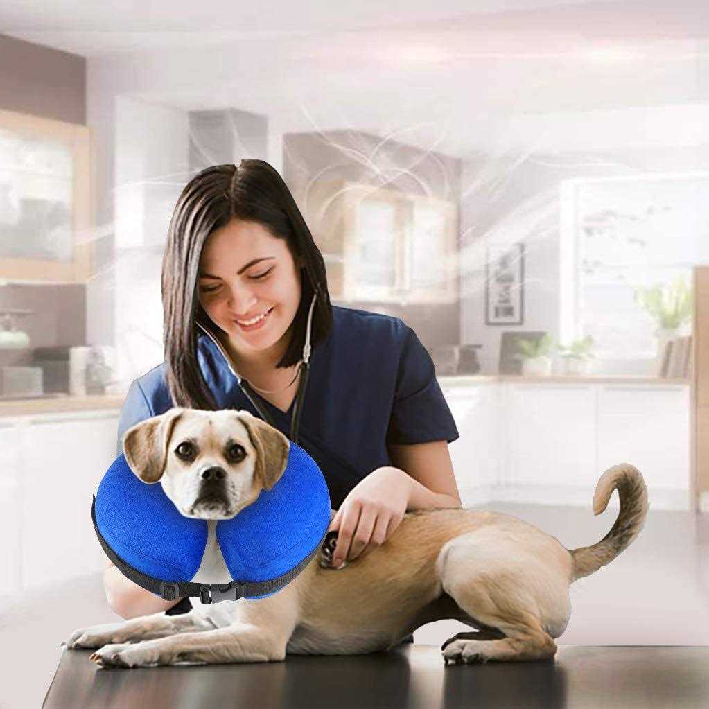 Protective Inflatable Cone Collar for Dogs and Cats J158