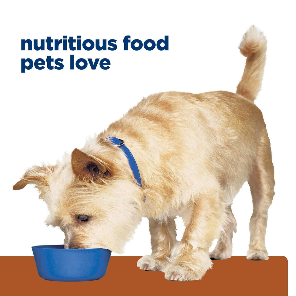 Chicken Dry Dog Food B7450