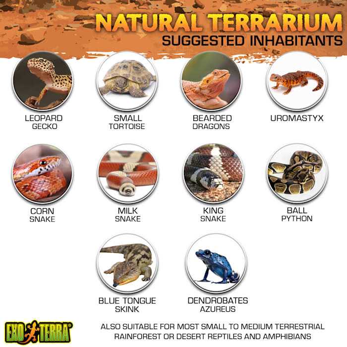 Glass Terrarium S931
