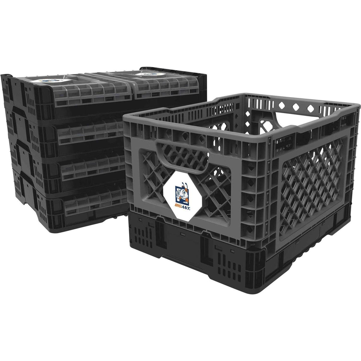 Medium Collapsible Crate F259696