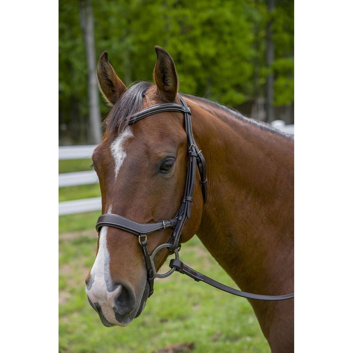 Black Anatomical Bridle J7132